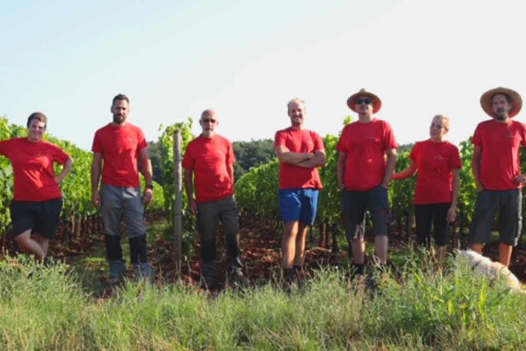 Tim za uređivanje vinograda